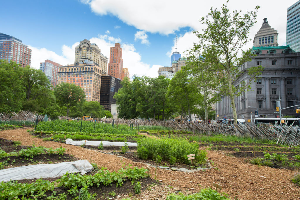 3 Best Neighborhoods for Urban Gardens in NYC - garden in new york city