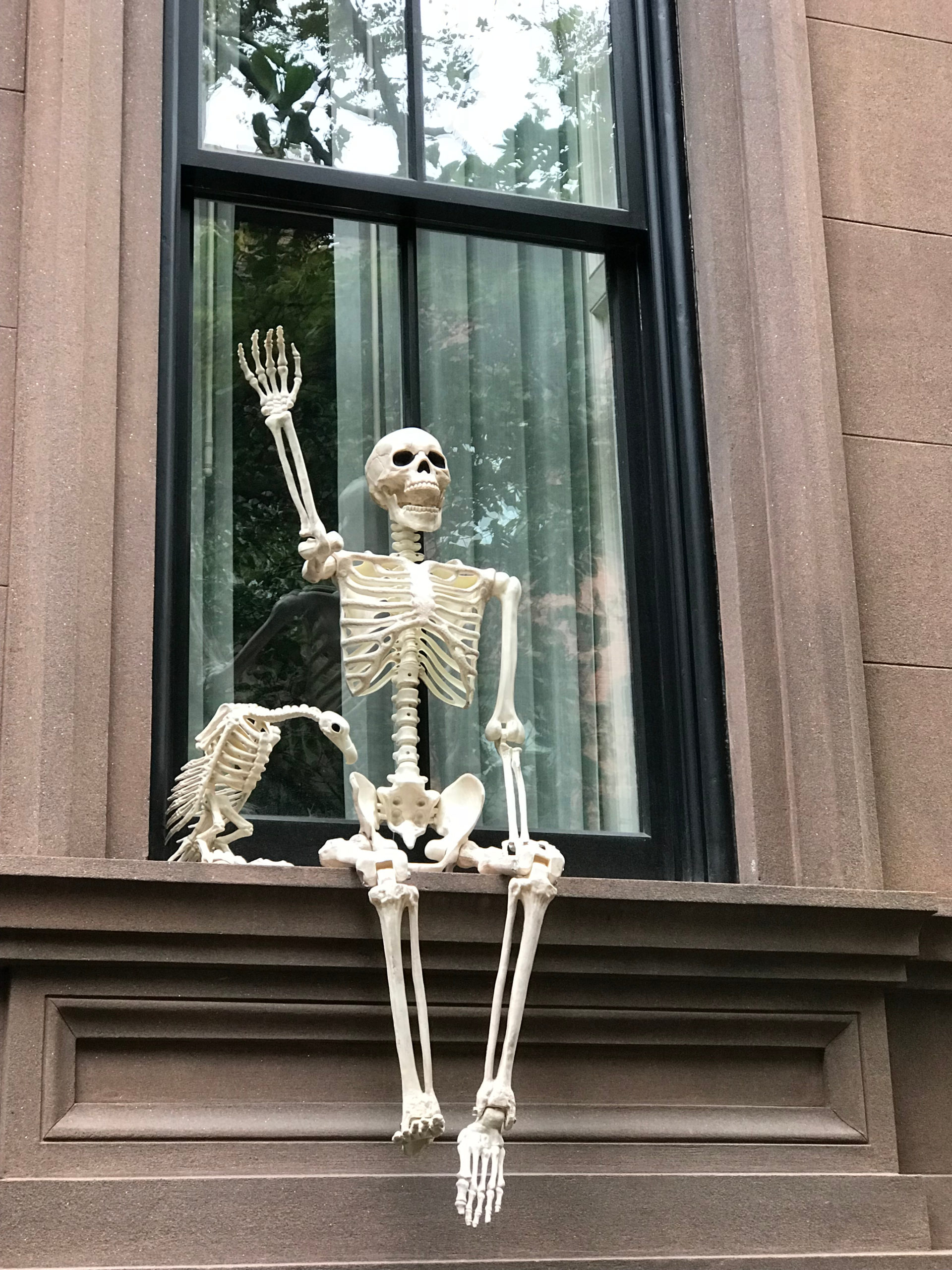 Unlock Halloween in NYC All-year Round - Halloween Skeleton Decoration outside a window in Greenwich Village, NYC